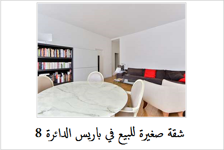 شقة صغيرة للبيع في باريس 1