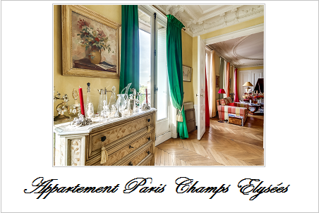Appartement a vendre paris champs elysees