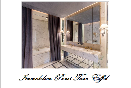 Immobilier paris tour eiffel