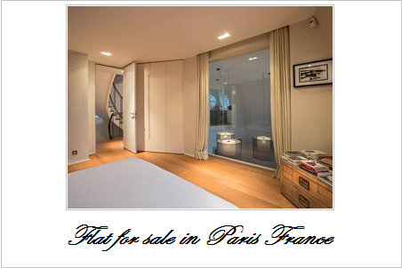 Flat for sale in paris france