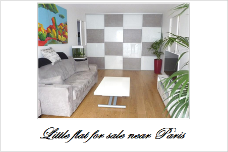 Little flat for sale near paris