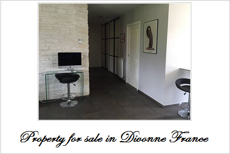Property for sale in divonne france